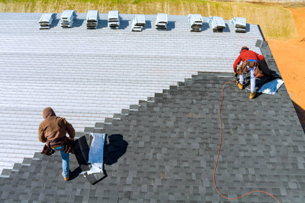 Best Storm Damage Roof Repair  in Willow, AK