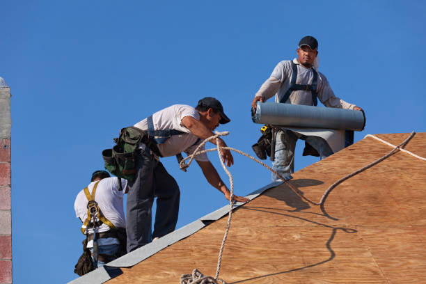 Best Storm Damage Roof Repair  in Willow, AK