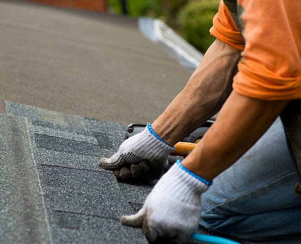 Best Roof Waterproofing Services  in Willow, AK